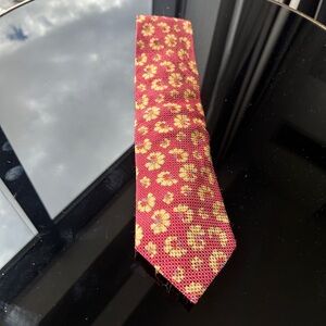 Ermenegildo Zegna Men's 100% Silk tie thanksgiving holiday christmas pattern